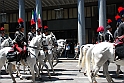 Raduno Carabinieri Torino 26 Giugno 2011_479